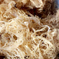 Raw Sea Moss