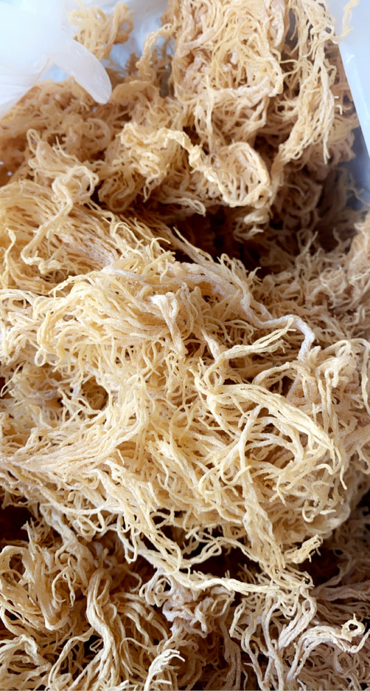 Raw Sea Moss